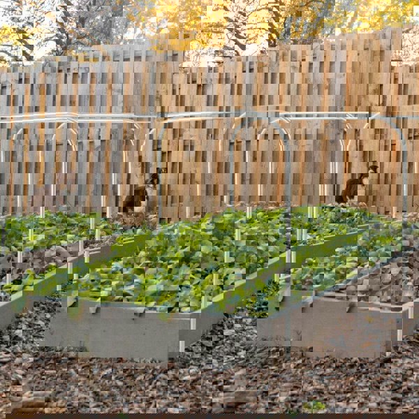 High-quality Galvanized Zinc Iron Greenhouse Hoop with Easy-Grip Clips Greenhouses Living and Home Rectangular Style/116cm W x 80cm H