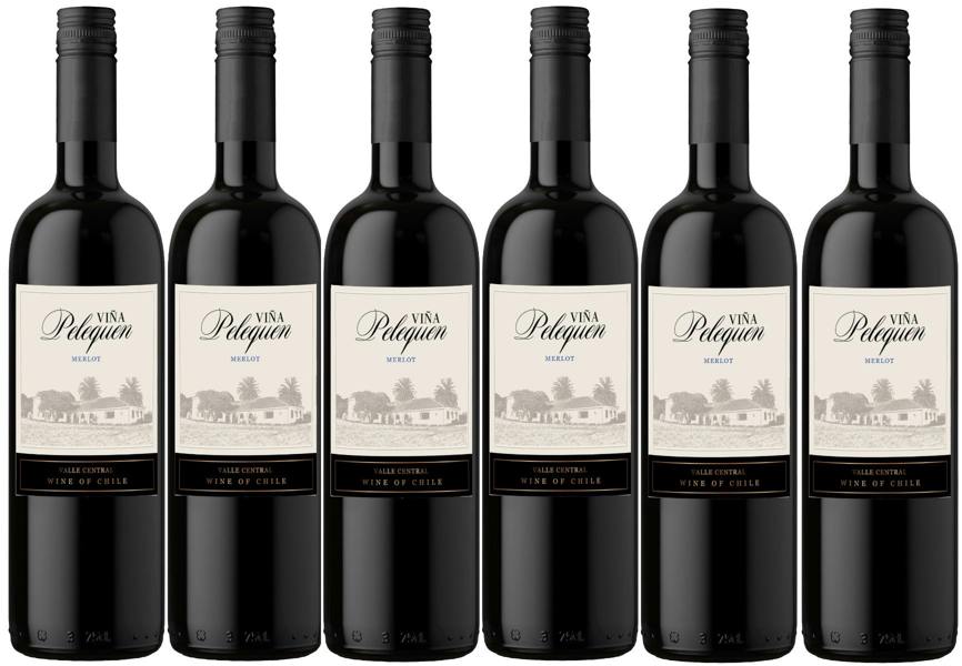 Vina Pelequen Chilean Merlot