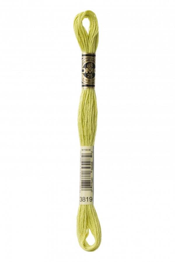 3819 | Green