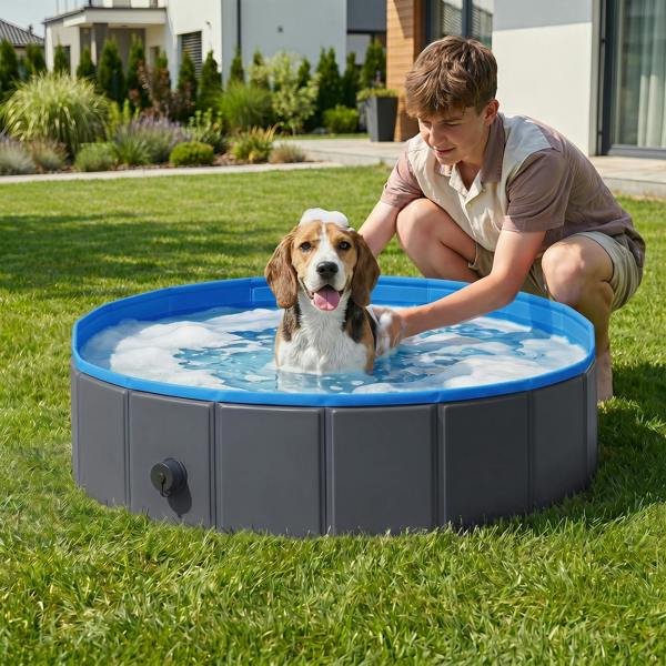 Pet Swimming Pool
