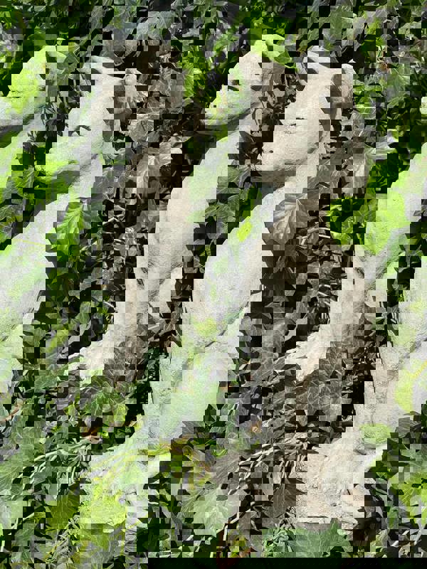 Pair of Standing Cats Gatepost Garden Ornaments