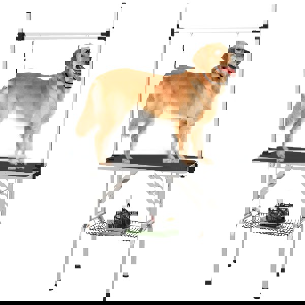 D01-027BK