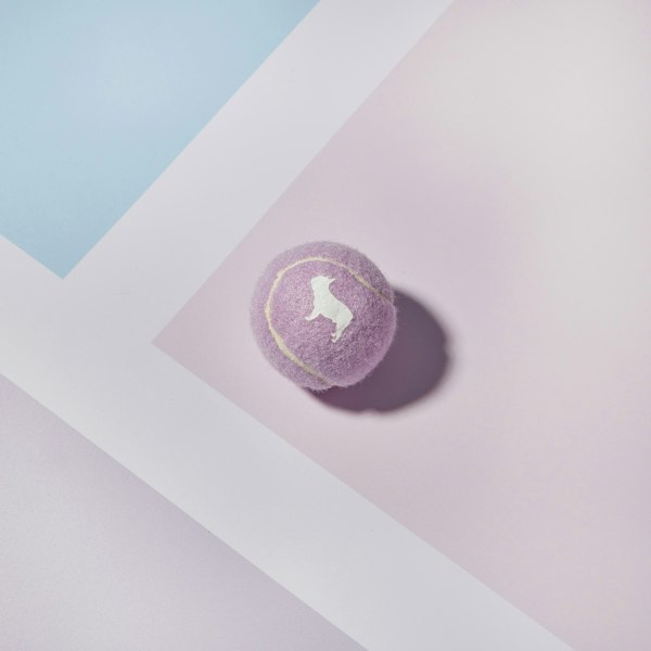 Light Purple Tennis Ball with Squeaker