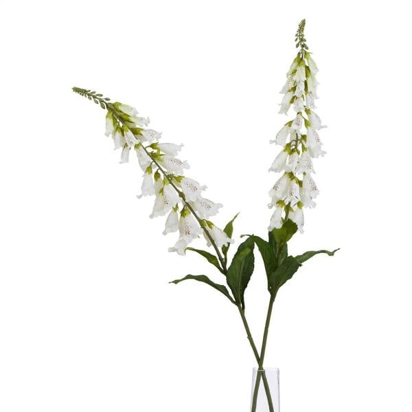 White Foxglove