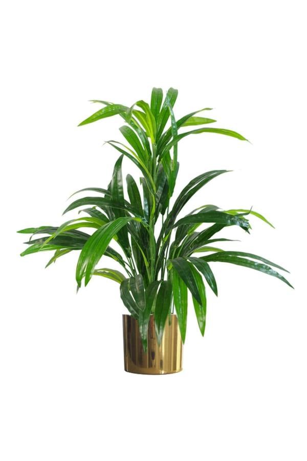 Dyzi 65cm Artificial Plant with Botanically Accurate Foliage