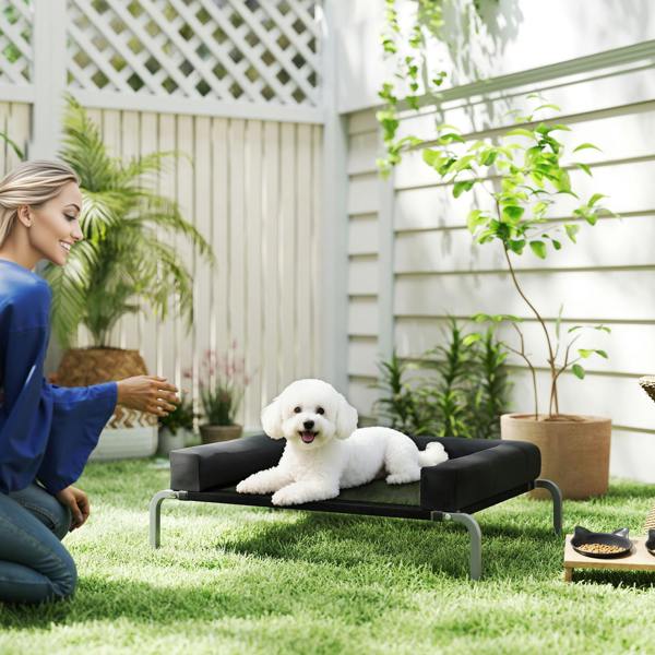 Elevated Dog Bed