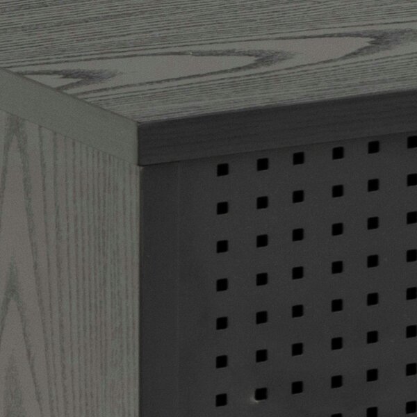Wyld Haus Cambridge Industrial Black Mesh TV Unit in Black