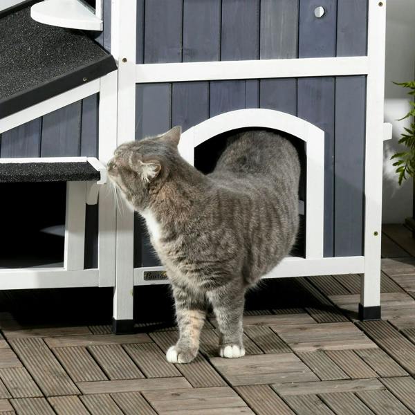 Grey tabby cat at arched doorway of a grey wooden outdoor cat house