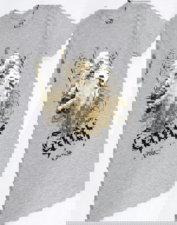 Lord Of The Rings Mens Grey Gandalf Short Sleeved T-Shirt