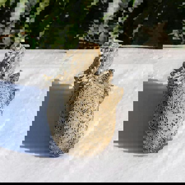 Small Stone Cast Triceratops Garden Sculpture Dinosaur Animal Statue