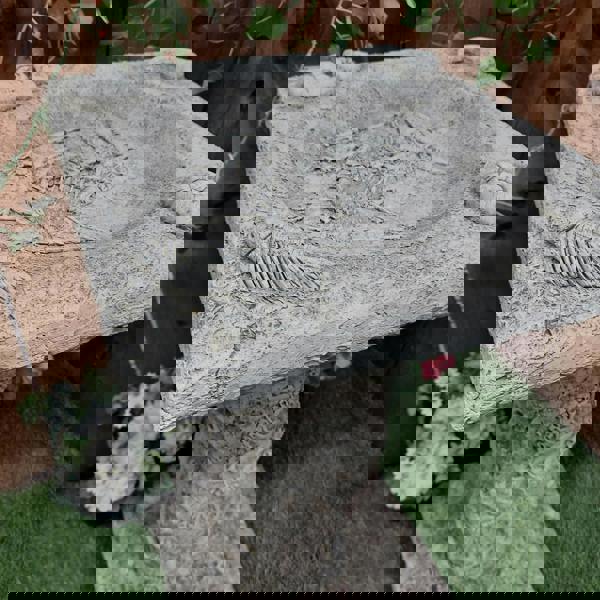Stone Cast Detailed Jurassic Birdbath
