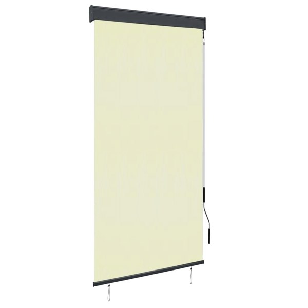 Berkfield Outdoor Roller Blind 100x250 cm Cream