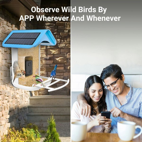 Callow Retail Callow Smart Bird Feeder with WI-FI Camera Solar power and AI Bird Recognition