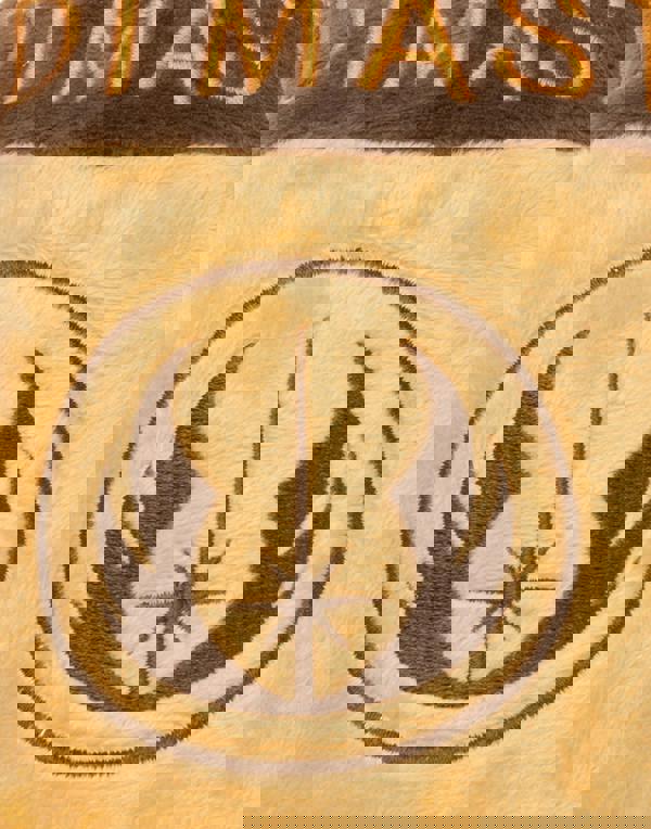 Star Wars Mens Brown Jedi Mule Slippers