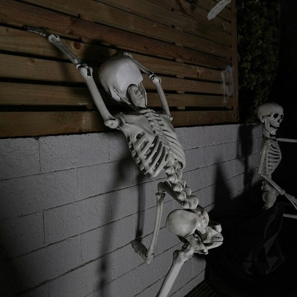 Samuel Alexander 90cm (3ft) Posable Full Body Halloween Skeleton Decoration with Movable Joints