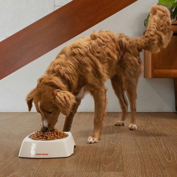 EzyDog Uno Dog Bowl