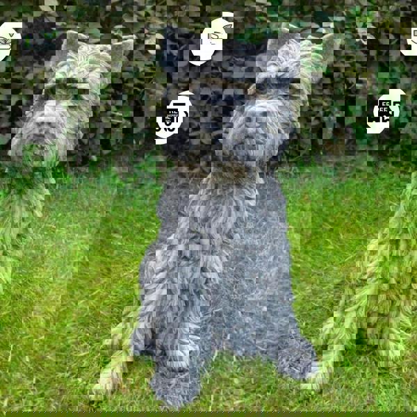 Large Terrier Dog Stone Cast Ornament