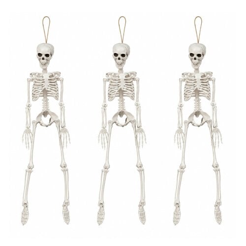 Samuel Alexander 3 Pack: 3ft (90cm) Posable Full Body Halloween Skeleton Decoration with Movable Joints