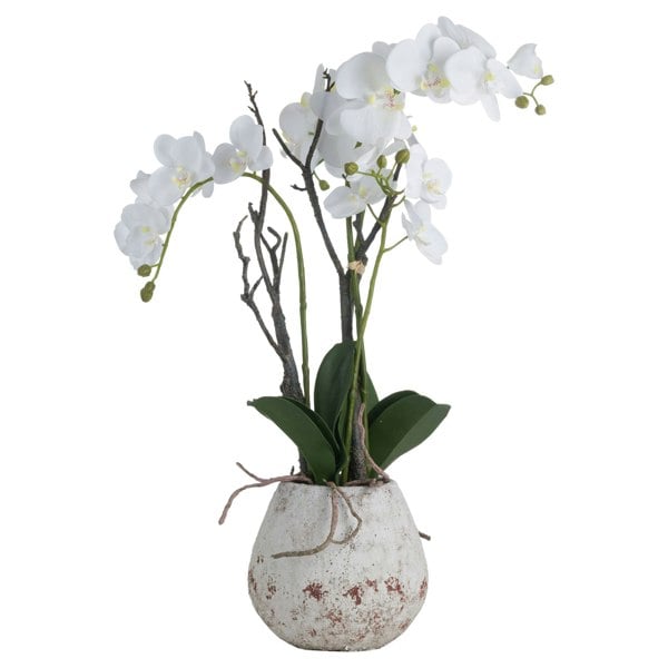 Hill Interiors Orchid In Stone Pot - White