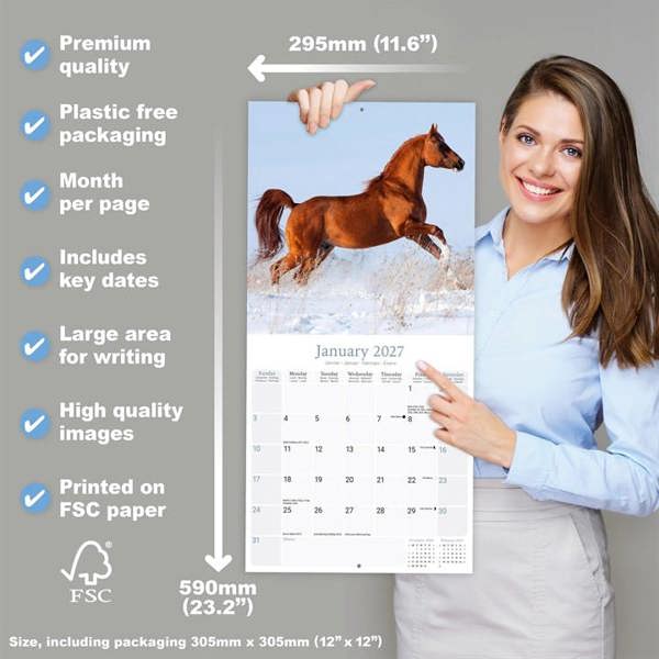 Arabian Horses Calendar 2027, Wall Calendars, Month To View, Animals, Gift
