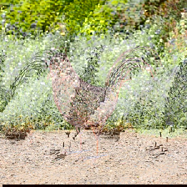 Paper High Metal Hen Garden Decoration