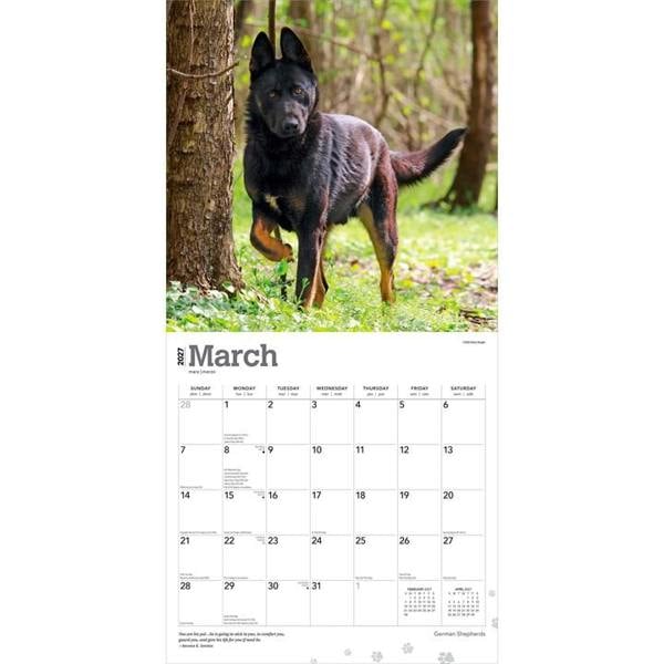 German Shepherds Calendar 2027, Wall Calendars, Month To View, Dogs, Gift
