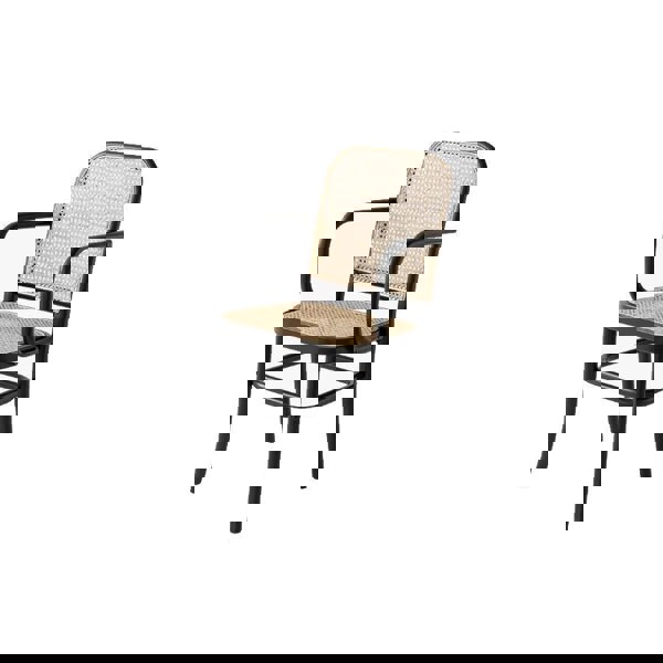 Paris G04 Rattan Dining Chair, Walnut-Weilai Concept-Weilai Concept