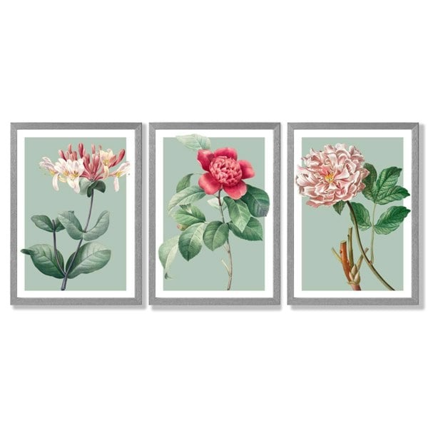 Artze Wall Art Vintage Flowers Honeysuckle, Peony Set of 3 Framed Prints