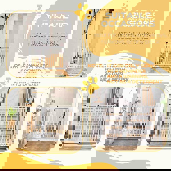 D06-079V01WT