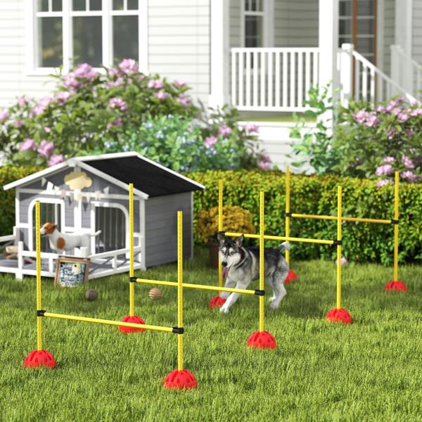 Pet Agility Set