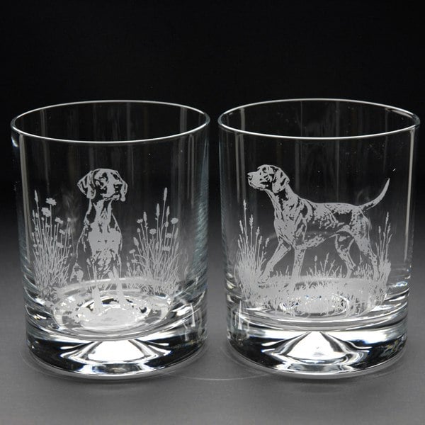 Glyptic Glass Art English Pointer Dog Whiskey Tumbler Glass - Hand Etched/Engraved Gift
