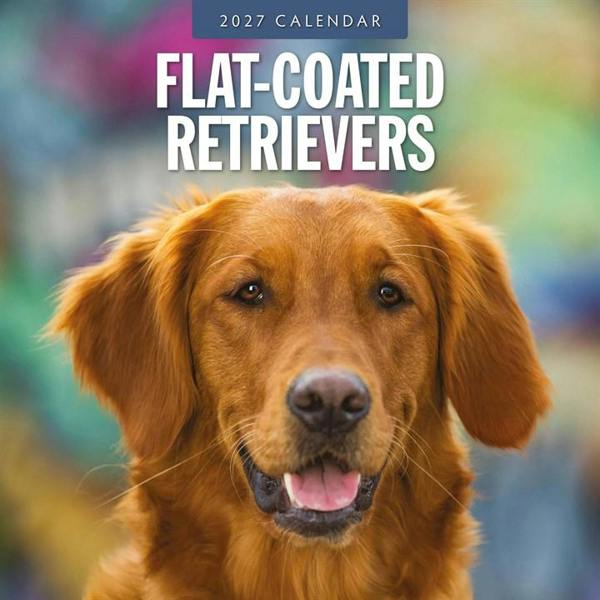 Flat Coated Retrievers Calendar 2027, Wall Calendars, Month To View, Dogs, Gift