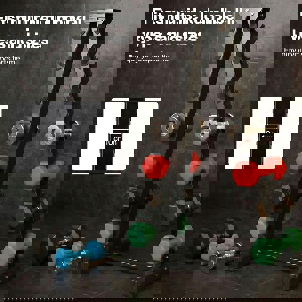 Centra Dumbbells Stand Rack 400KG Heavy Duty Weight Storage Holder Alloy Steel