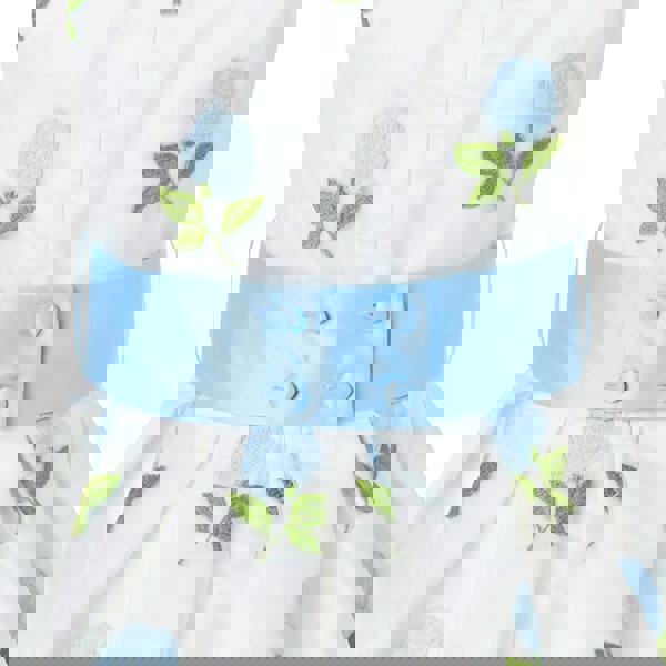 Rachel Riley Blue Rose Embroidered Organza Dress