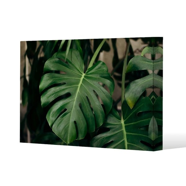Benjamin Tate Design Monstera Leaves in home interior Slim Style Canvas Print  90x120cm , 15mm Slim Real wood.