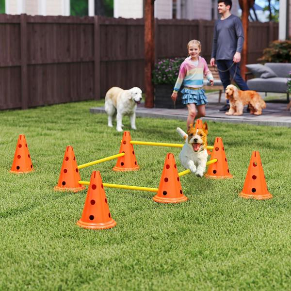 Pet Agility Set