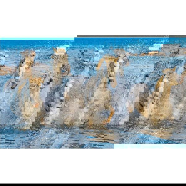 The Horse Encyclopedia (DK Pet Encyclopedias) by Elwyn Hartley Edwards