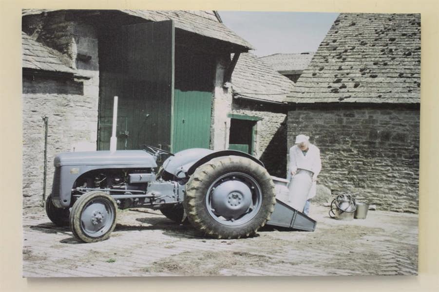 Ferguson TE20 and Milk Churns 