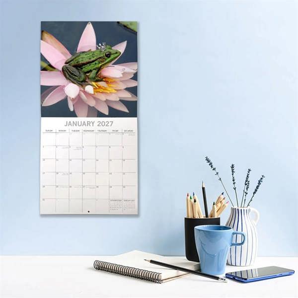 Fabulous Frogs Calendar 2027, Wall Calendars, Month To View, Humour, Gift