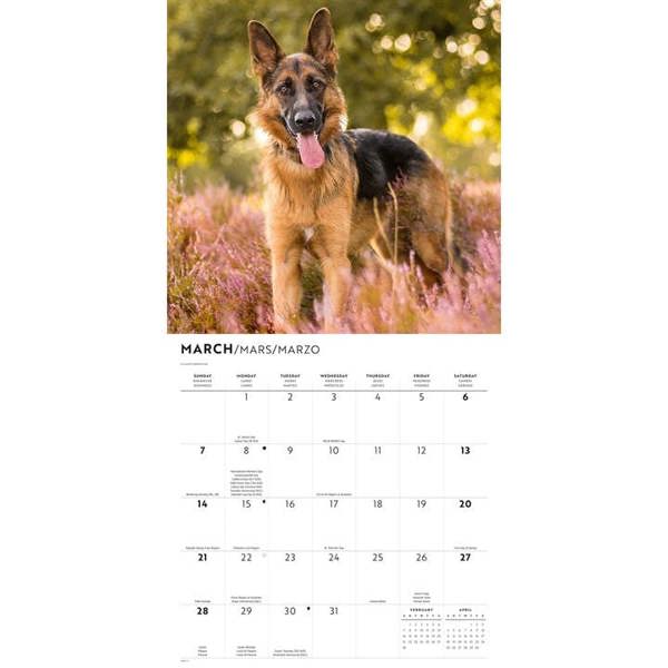 German Shepherds Calendar 2027, Wall Calendars, Month To View, Dogs, Gift