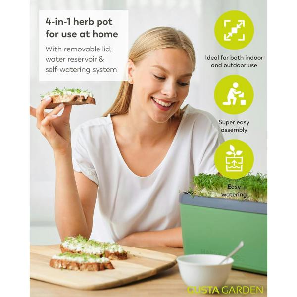 HARRY HERBS 4 in 1 herb pot