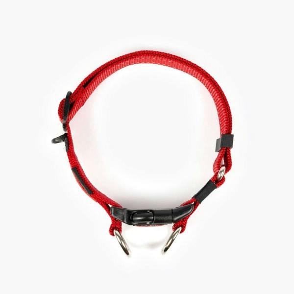 EzyDog Double Up Dog Collar in Red