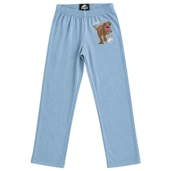 Onomato! Jurassic World Boys T-Rex 100% Cotton Pyjama Set 11-12 Years Grey
