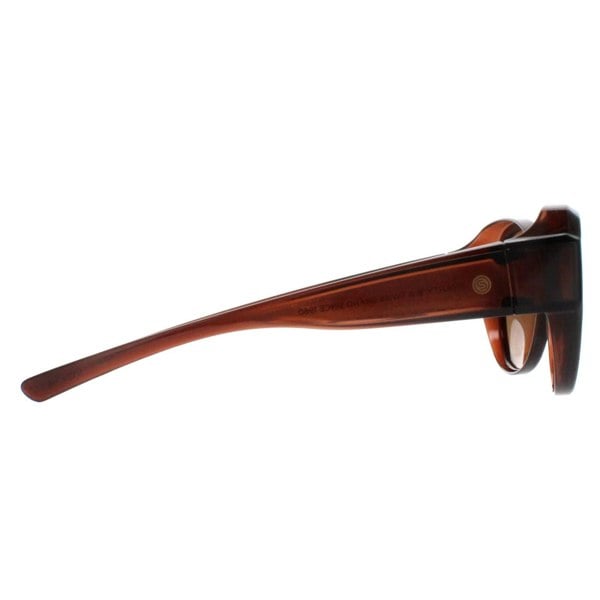 Smarty Sunglasses X2115 B Transparent Brown EF Brown