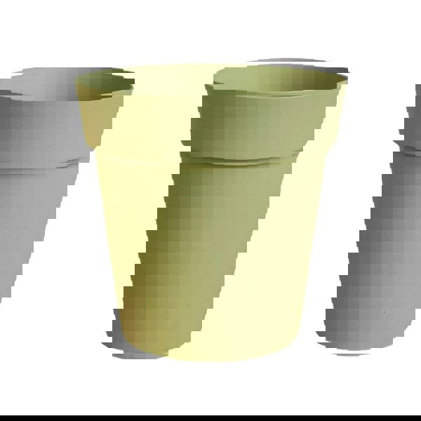 #color_olive