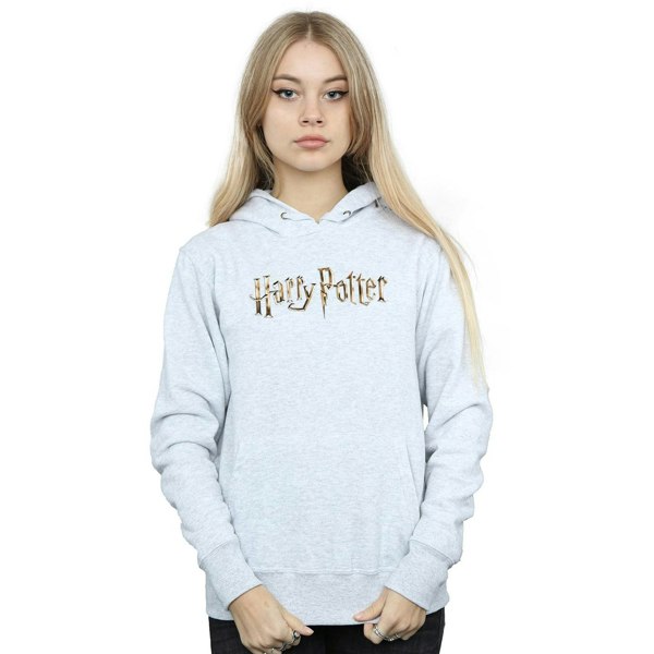 Harry Potter Womens/Ladies Full Colour Logo Hoodie - Sports Grey