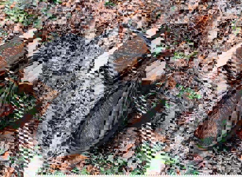 Petromax Sandwich Iron Transport Bag