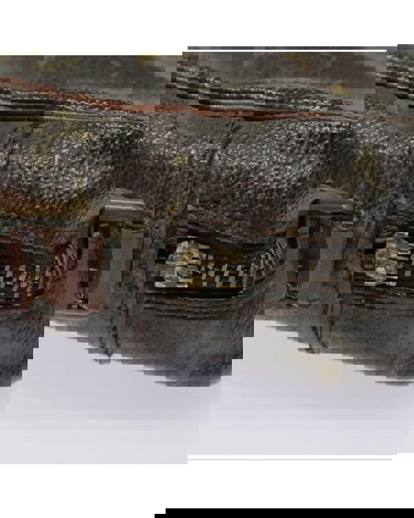 195225273.jpg