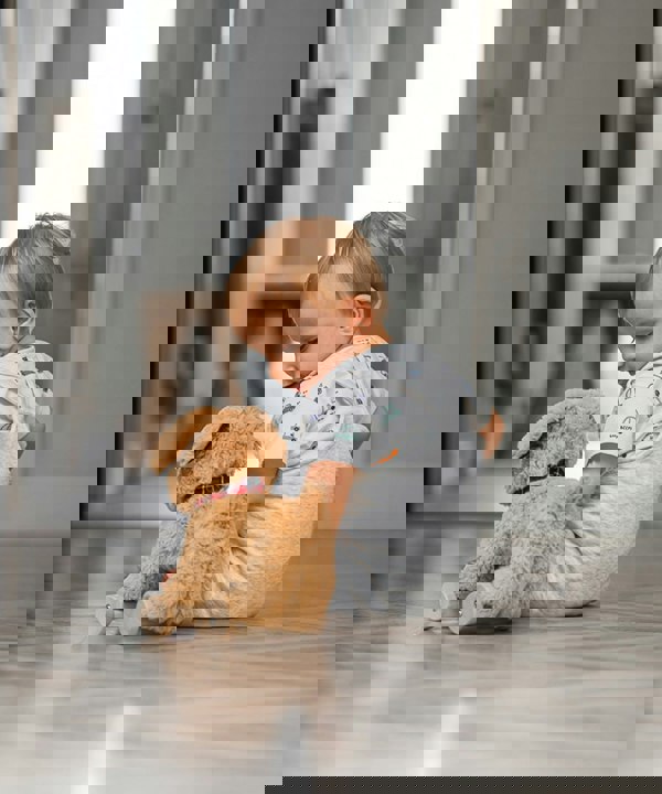 little boy sat next to dexter dog pull along baby toy 