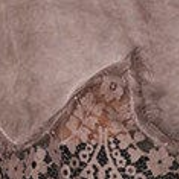 Izabel London Lace Trim Relaxed Cap Sleeve Top
